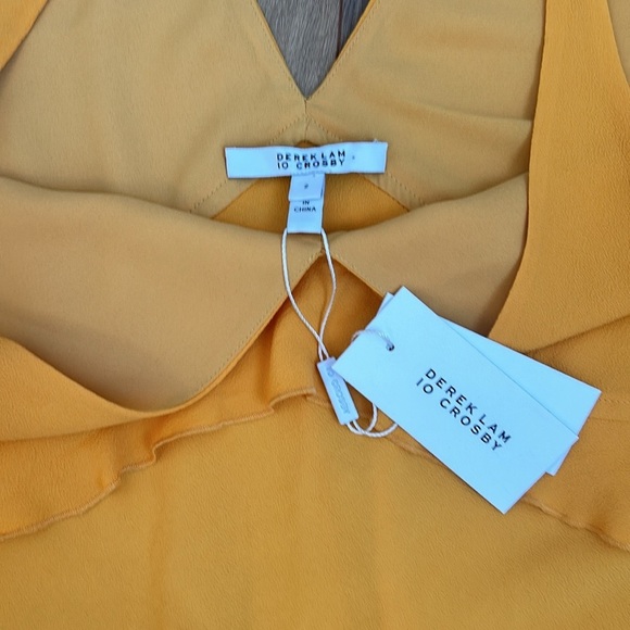 DEREK LAM 10 CROSBY Saffron V neck top size 2 - Picture 3 of 6